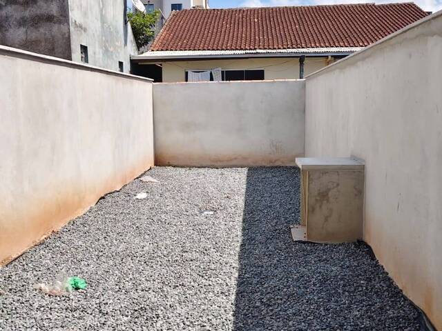 #17 - Geminado para Venda em Joinville - SC